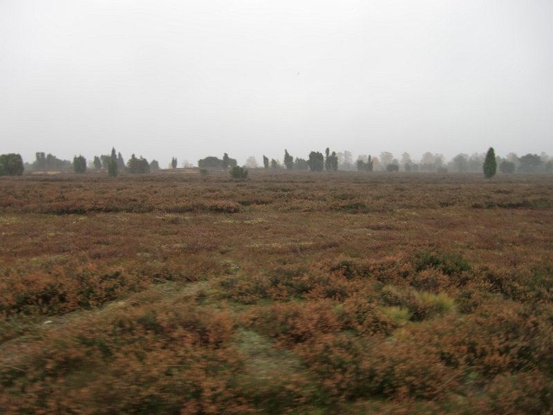 Wilseder Berg 1 2010 088